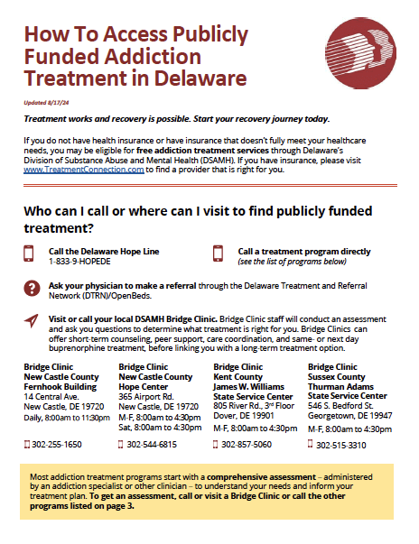 DSAMH Publicly Funded Flyer and Editable